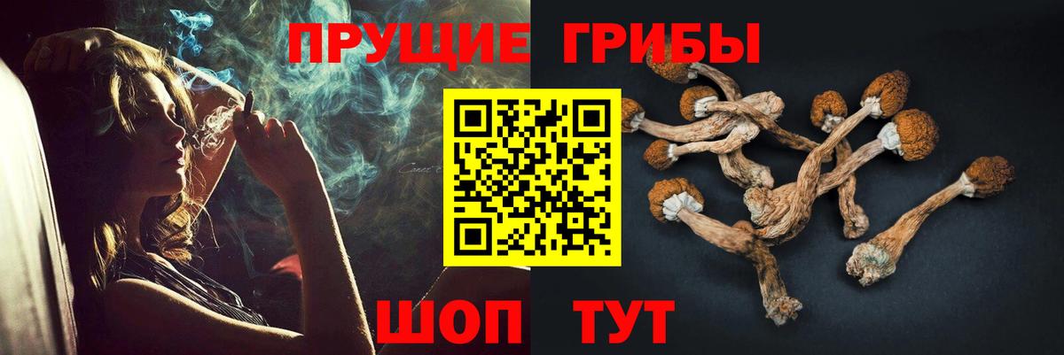 Азнакаево  Псилоцибиновые грибы Psilocybe  Псилоцибиновые грибы мицелий  Вход с VPN 